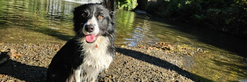 Kaïa in front of the waterfall