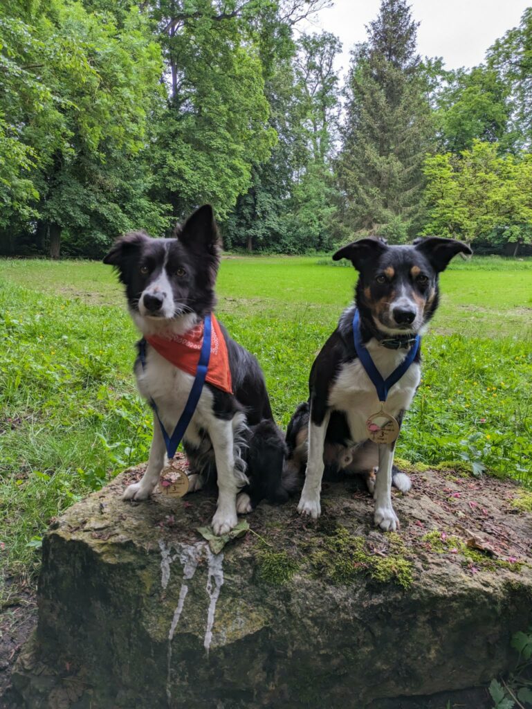 Brother and sister, both 3rd place